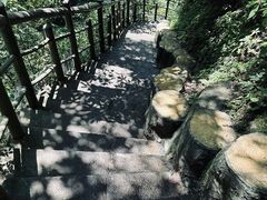 -蝶舞清江·恩施地心谷景区