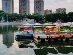 -团结湖公园