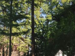 -南京农业大学(浦口校区)