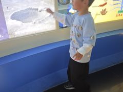 -上海昆虫博物馆