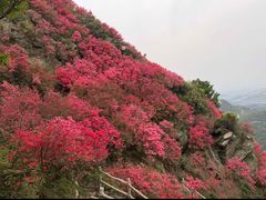 -木兰云雾山