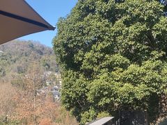 -简象咖啡CAFE ELE JANE(满陇桂雨店)