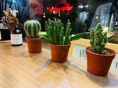 -Poke lemon海鲜波奇饭·柠檬茶(金碧开放小区店)