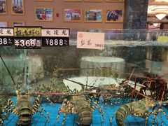 -聚福宝合苑食府(南头镇店)