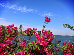 -梧桐山风景名胜区