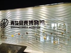 贝壳博物馆-青岛贝壳博物馆