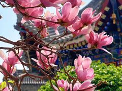 -西安市广仁寺