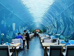 -涛·海底餐厅·美人鱼·自助餐·海底隧道(三亚海棠湾洲际度假酒店)