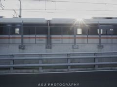 -海堤纪念公园