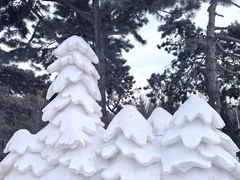 -长春市南湖公园