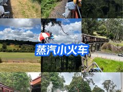 -普芬比利蒸汽火车