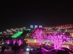 -枇杷园食为鲜火锅(南山店)