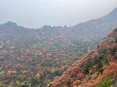 -秦岭风景区