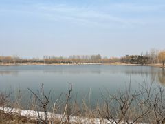 -东郊湿地公园