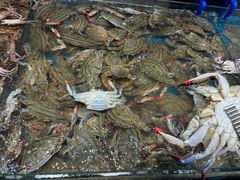 -半岛听涛蒸汽海鲜自助(K11店)