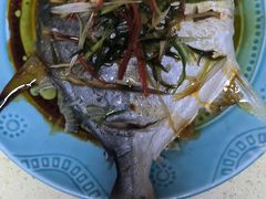 -田螺阿姨自营月嫂·育儿嫂(高新店)