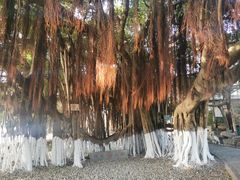 -胡里山炮台