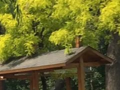 -白洋淀景区