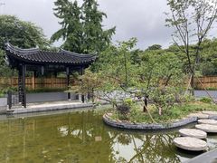 -雨花胜境