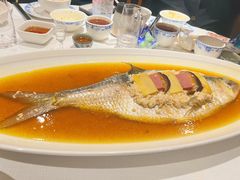 酒香鲥鱼（半条）-老吉士酒家(天平路店)