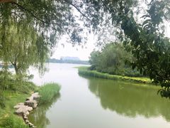 -大兴滨河森林公园