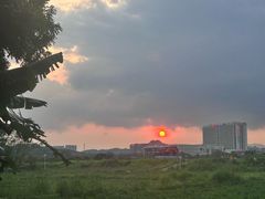-光明小镇欢乐田园