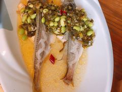 -扬州狮子楼·非遗淮扬菜(东关街店)