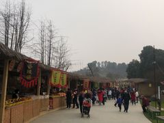 -秀丽东方