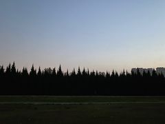 -汉长安城未央宫国家考古遗址公园