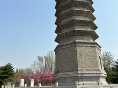 -古塔公园