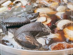 -太婆天府山珍酒楼(亚运村店)