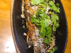 -鸽子窝(宋庄店)