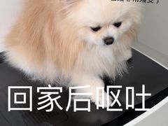 -申普宠物医院·眼科·心内科·影像科(普陀分院)