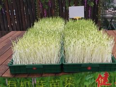 -森谷美食公园(杨行店)