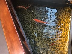 -尺山寸水日料(马桥满天星店)