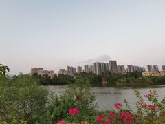 -大亚湾红树林城市湿地公园
