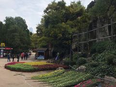 -昆明动物园