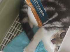 -艾贝尔宠物医院·狂犬免疫点(江山金象城店)