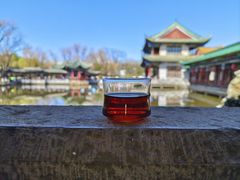 -MAP CHA普洱茶馆(翠湖店)