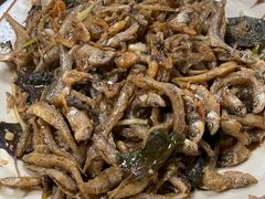 -幽优农庄·森波拉特色本地农家菜