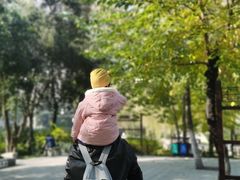 -西安市长乐公园