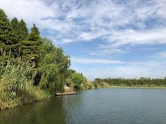 -溱湖国家湿地公园