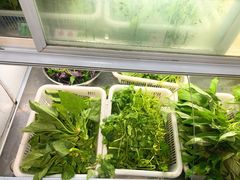 -黔府豆米火锅野菜馆(南马店)