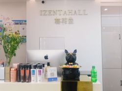 点击看大图 -艺剪堂