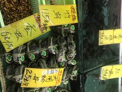 -鸿达渔港