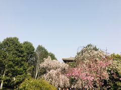 -西安青龙寺遗址景区