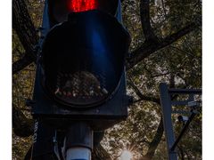 -颐和路民国时期公馆-风貌区