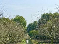 -广富林郊野公园