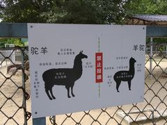 -上方山森林动物世界