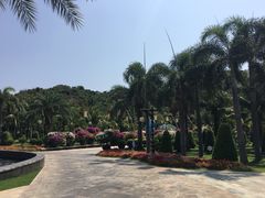 -蜈支洲岛珊瑚酒店临海阁中餐厅